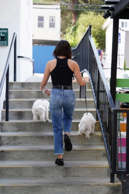 Dropsherdogsatdaycarecenter_022.jpg
