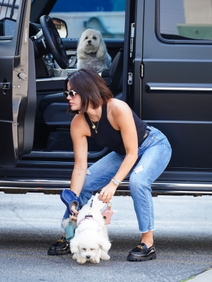 Dropsherdogsatdaycarecenter_048.jpg