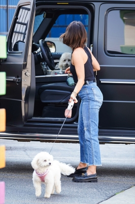 Dropsherdogsatdaycarecenter_049.jpg
