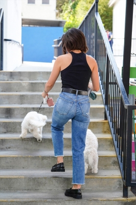 Dropsherdogsatdaycarecenter_057.jpg
