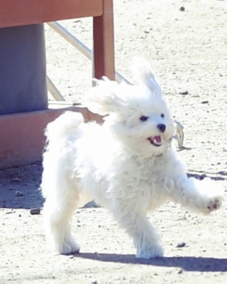 LHBR0936.jpg