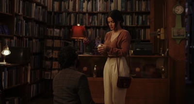 The_Storied_Life_of_A_J_Fikry_2022_1080p_WEBRip_x265-RARBG_3652.jpg