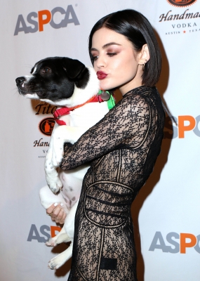 HQ
