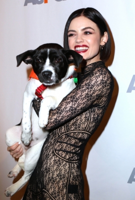 HQ
