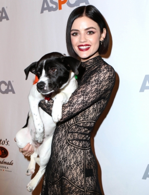 HQ
