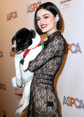 HQ
