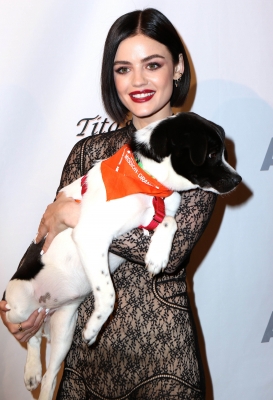 HQ
