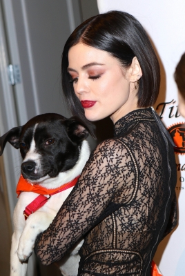 HQ
