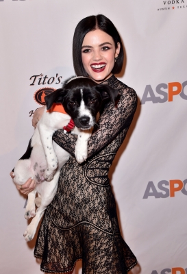 HQ
