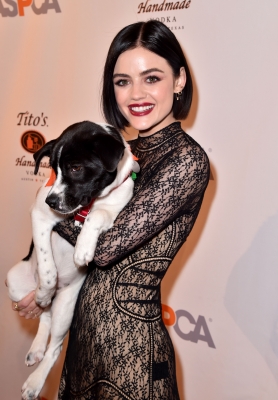 HQ
