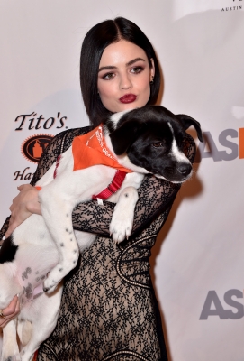HQ
