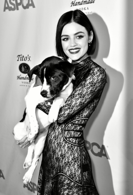 HQ
