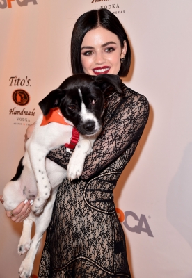 HQ
