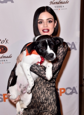 HQ
