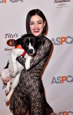 HQ
