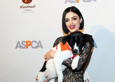 HQ
