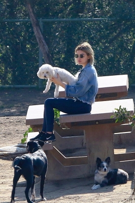 dogpark201118-001.jpg