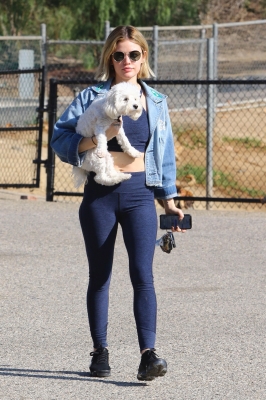 dogpark201118-004.jpg