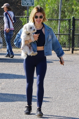 dogpark201118-007.jpg