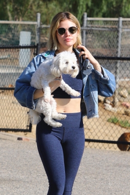 dogpark201118-010.jpg