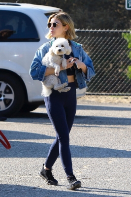 dogpark201118-020.jpg