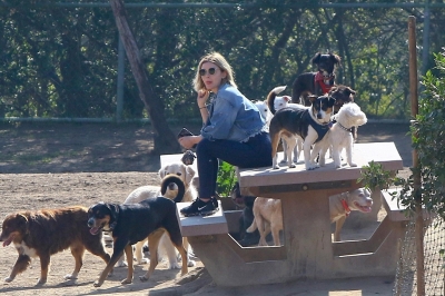 dogpark201118-022.jpg