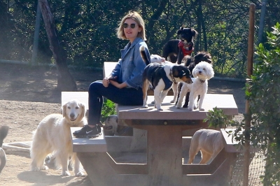 dogpark201118-023.jpg