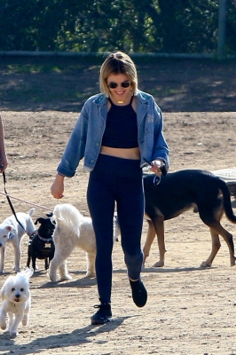 dogpark201118-025.jpg