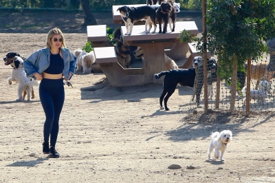 dogpark201118-027.jpg