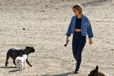 dogpark201118-028.jpg
