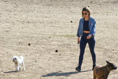 dogpark201118-029.jpg