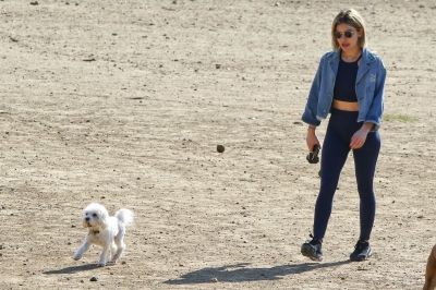 dogpark201118-033.jpg