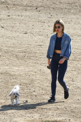 dogpark201118-034.jpg