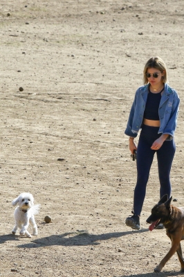 dogpark201118-037.jpg