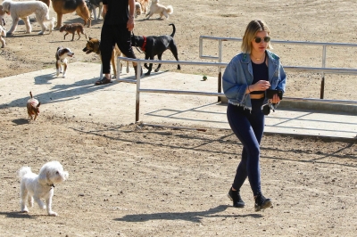 dogpark201118-041.jpg