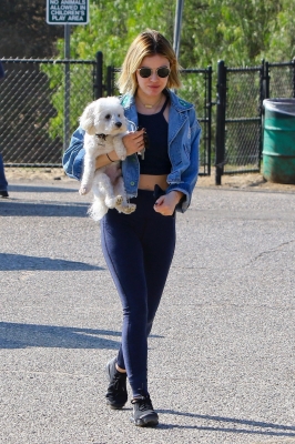 dogpark201118-044.jpg