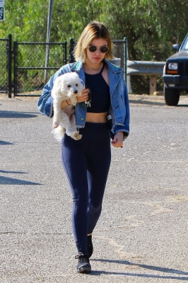dogpark201118-045.jpg