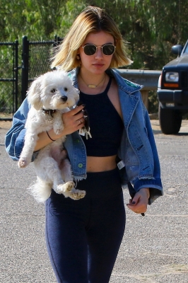 dogpark201118-046.jpg