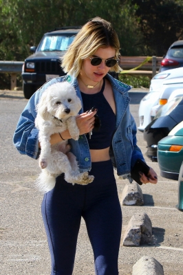 dogpark201118-047.jpg