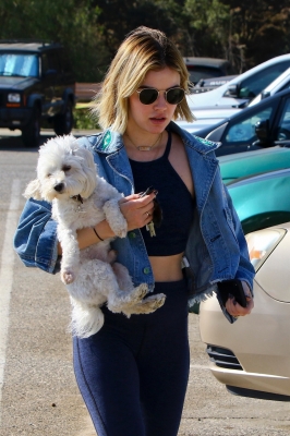 dogpark201118-049.jpg