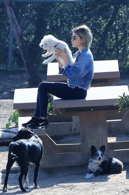 dogpark201118-053.jpg