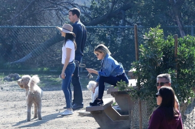 dogpark201118-066.jpg