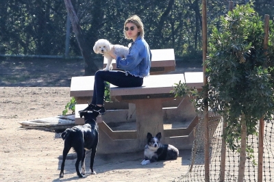 dogpark201118-069.jpg