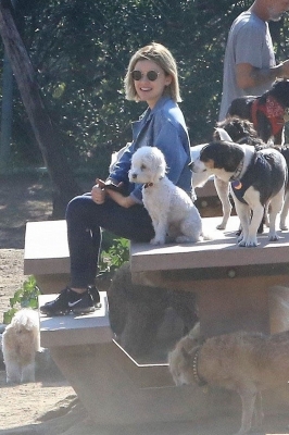 dogpark201118-070.jpg
