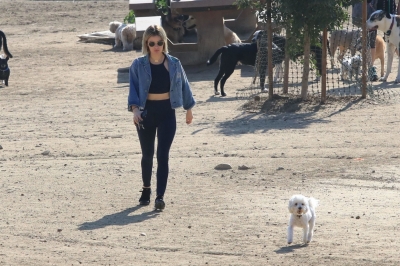 dogpark201118-072.jpg
