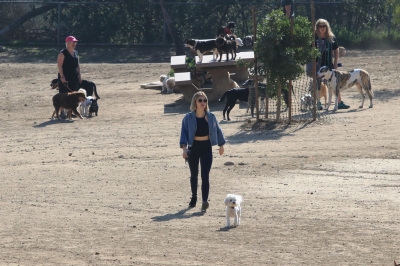 dogpark201118-075.jpg