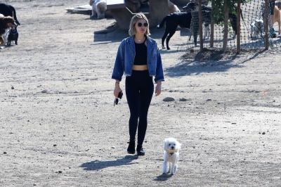 dogpark201118-076.jpg