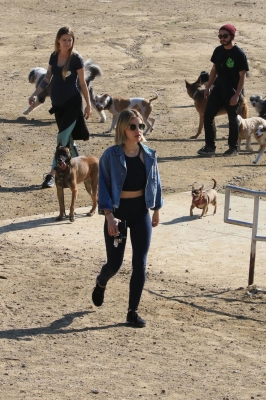 dogpark201118-079.jpg