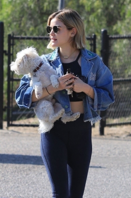 dogpark201118-081.jpg
