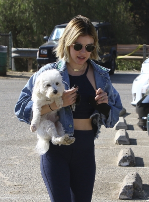 dogpark201118-090.jpg